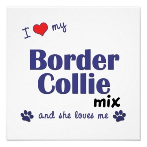 Got our first family dog Simba!