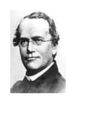 Gregor Mendel