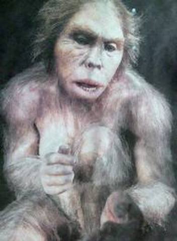 Homo antecessor