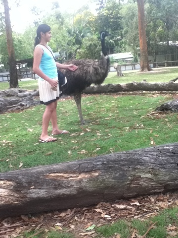 First time I went to Australia Brisbane zoo.