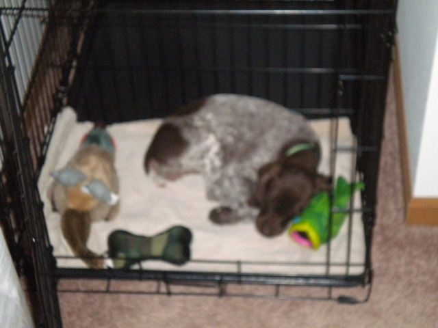 First Night at Her New House