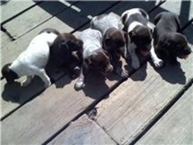 Hanging out with her brothers and sisters