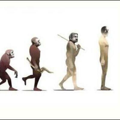 Timeline: Evolving Mystery