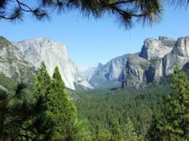 Yosemite Park Established