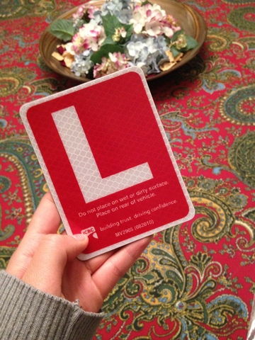 I GOT MY DRIVER'S LICENSE