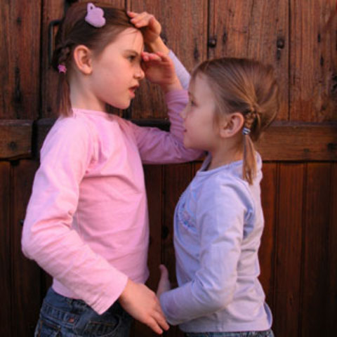 Middle Childhood #2 Physical Changes