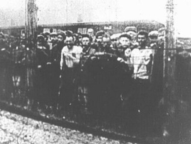 Majdanek Camp Opened