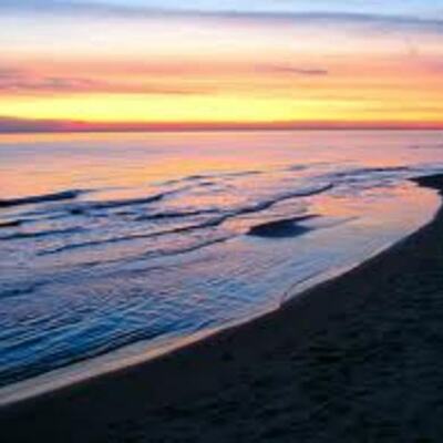 Timeline: Abigail Erwin