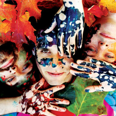 Timeline: Animal Collective Timeline