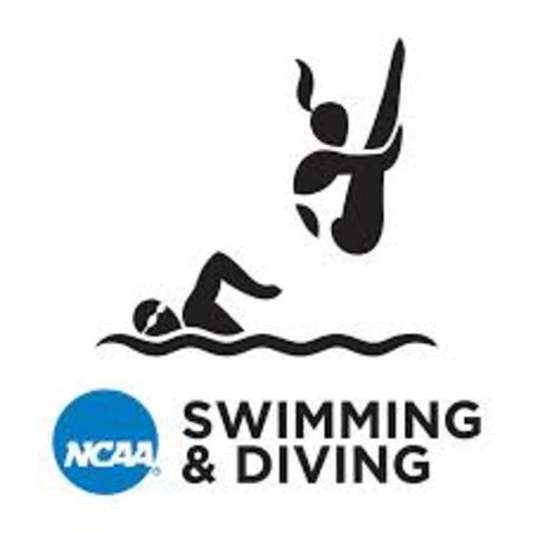Swimming became an NCAA Sport