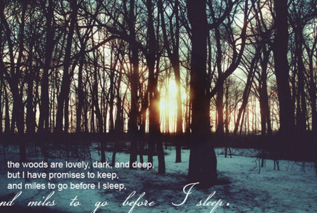 Stopping by the Woods on a Snowy Evening by Robert Frost