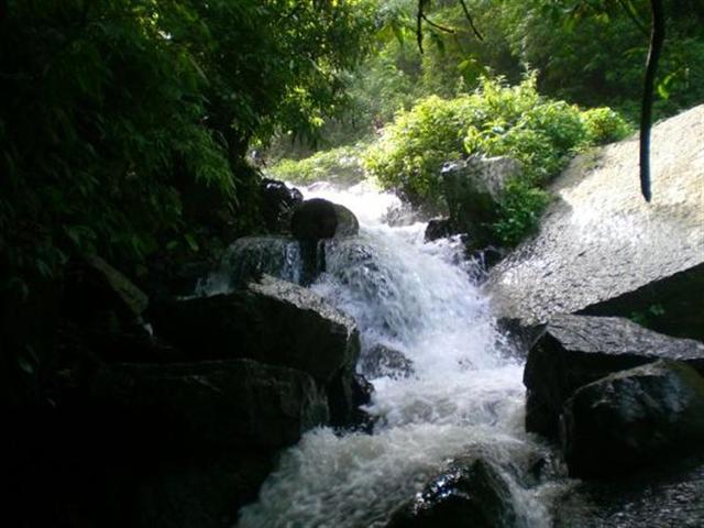 The Song of the Brook by Alfred, Lord Tennyson