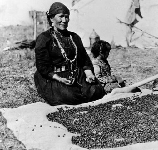 The Pemmican Proclamation