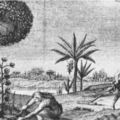 Timeline: Epoca Grecolatina