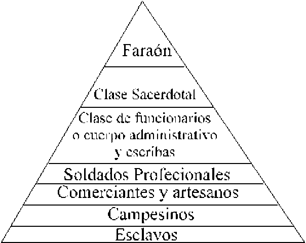 Organización sociopolítica