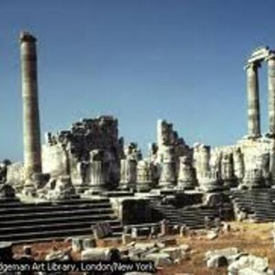 Timeline: Grecolatima