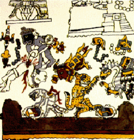 Organización sociopolítica