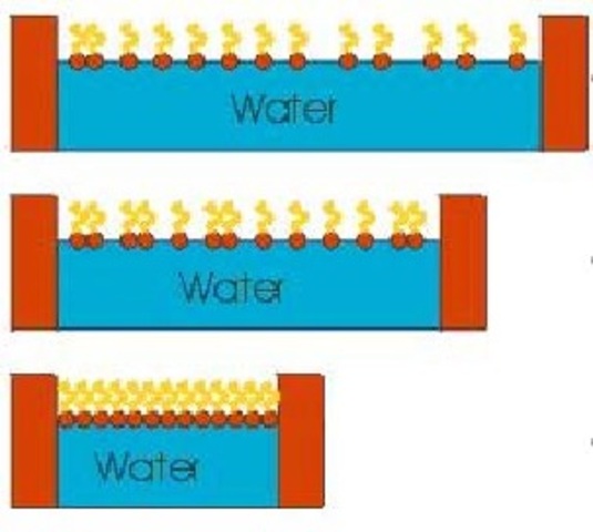 Irving Langmuir (1881 - 1957)