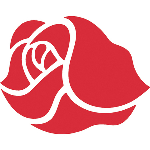 Began attending school in Roseville, MN