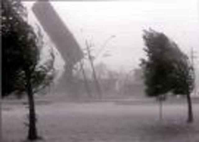 Programas de Prosgrado