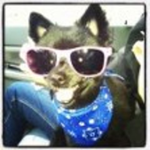 Adopted my first puppy!