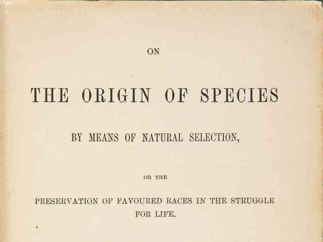 Orgin of Species