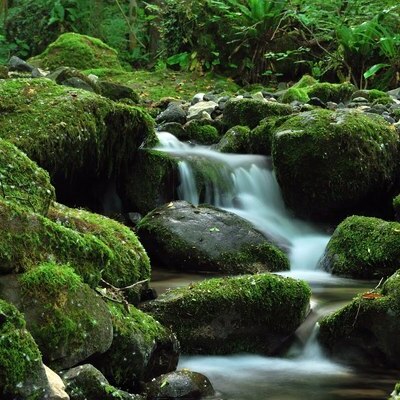 Timeline: DESCRIBE FIVE PEOPLE