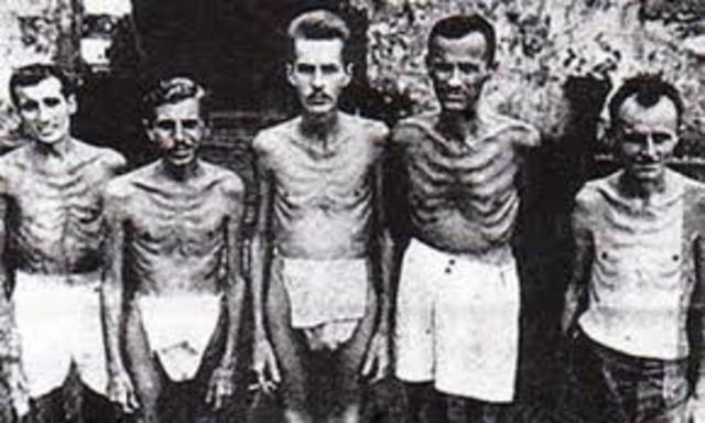 Geneva Convention Effects