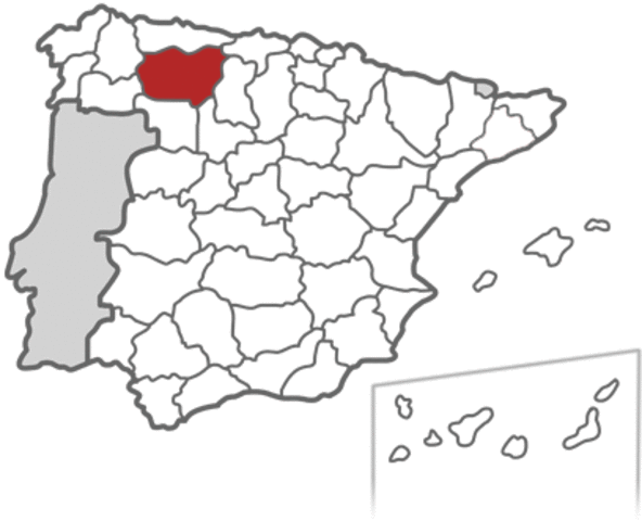 El reino de Asturias pasa a ser reino de León