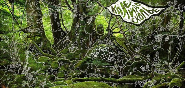 КАЛЕЙДОСКОПЬЕ:refresh in forest of Kiev`s Sea