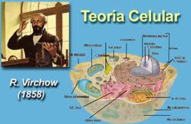 Teoría Celular