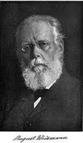 August Weismann