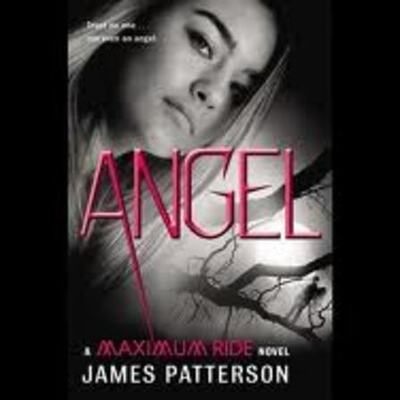 Timeline: DZ- Angel by James Patterson 291 pages