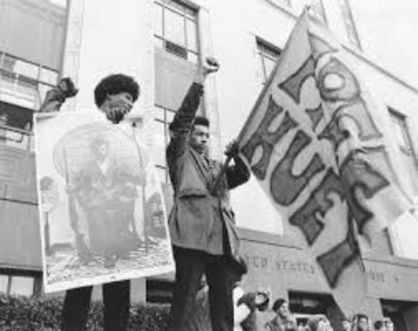 B.P.P Accomplishments