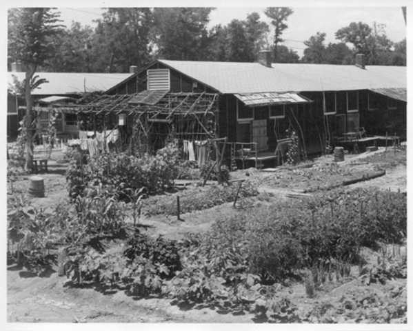 Chapter 18 Section 1 Victory Gardens