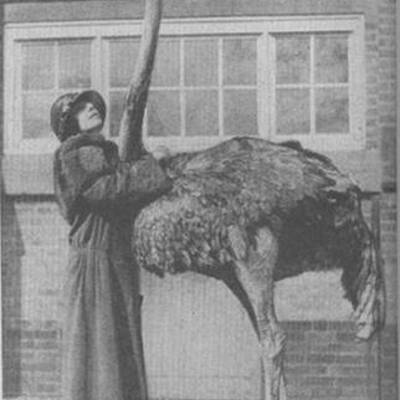 Timeline: La primera mitad del siglo XX