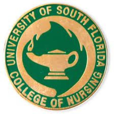 Professor, South Florida