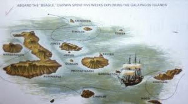 Breakthrough in Darwins ideas