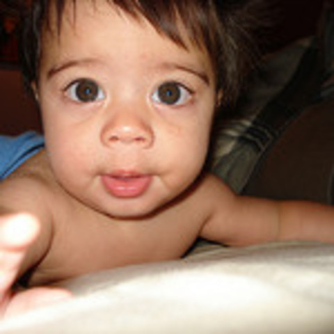 Infancy-Rapid Growth