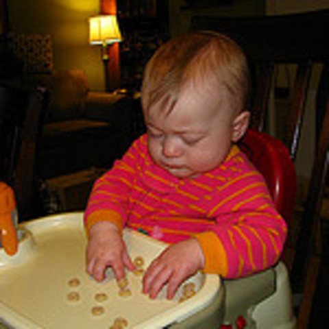 Infancy- Gross and Fine Motor Skills