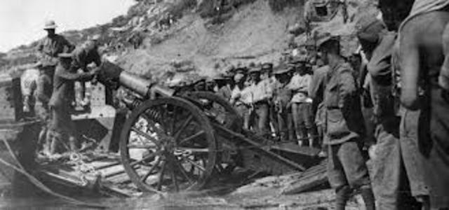 Allied troops landed in Gallipoli