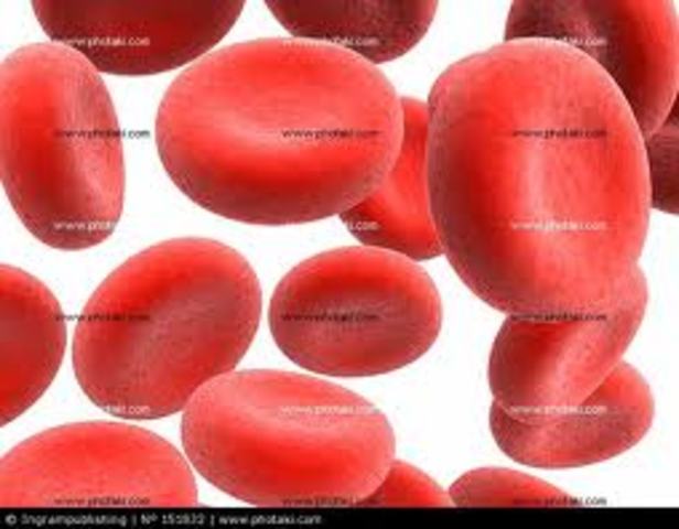 ΕΡΥΘΡΑ ΑΙΜΟΣΦΑΙΡΙΑ