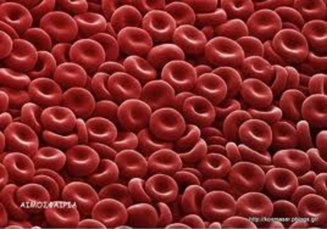 ΕΡΥΘΡΑ ΑΙΜΟΣΦΑΙΡΙΑ