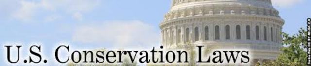 Conservation in the 1980s