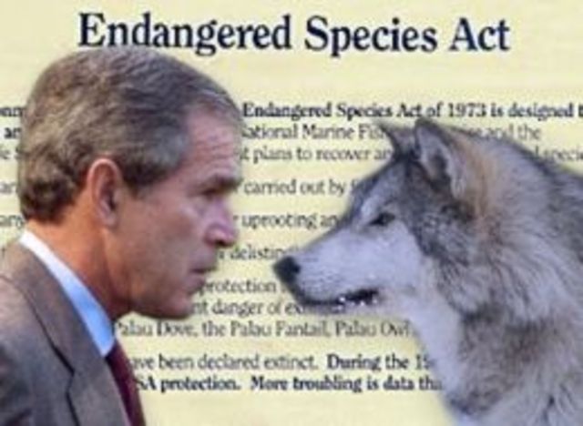 Endangered Species Act