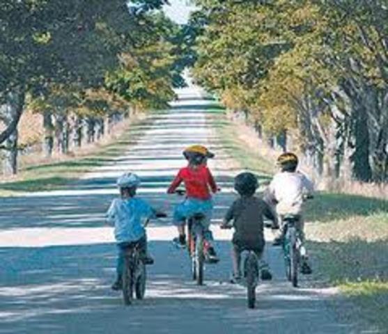 Motor Skill Development