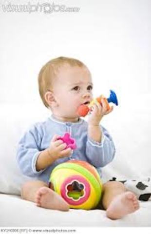 Infancy – Cognitive (Month 6)