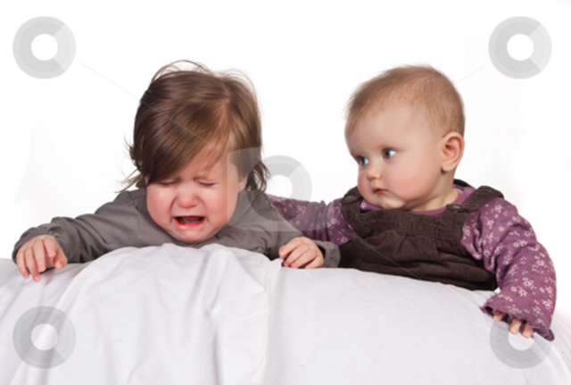 Toddlerhood -  Empathy (Month 24)