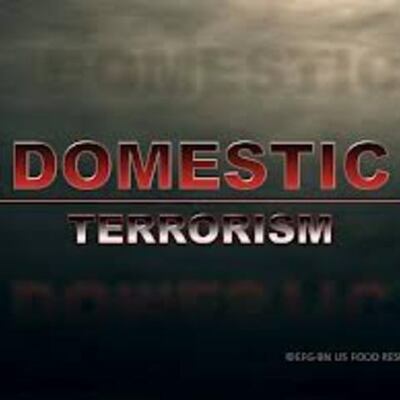 Timeline: Domestic Terrorism