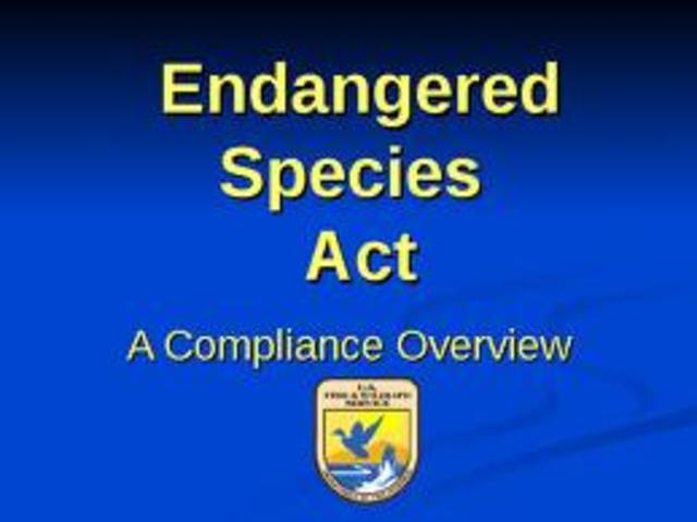 The Endangered Species Act